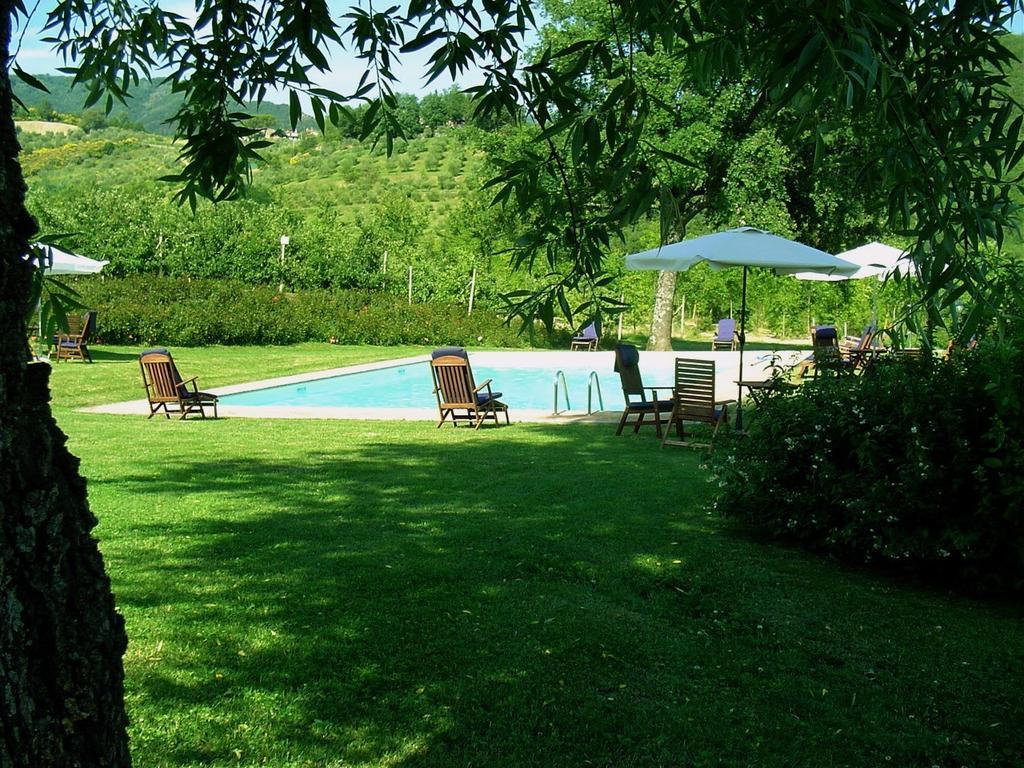 Tenuta Il Cerro Vicchio Quarto foto