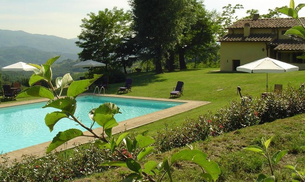 Tenuta Il Cerro Vicchio Quarto foto