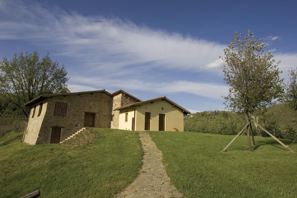 Tenuta Il Cerro Vicchio Quarto foto